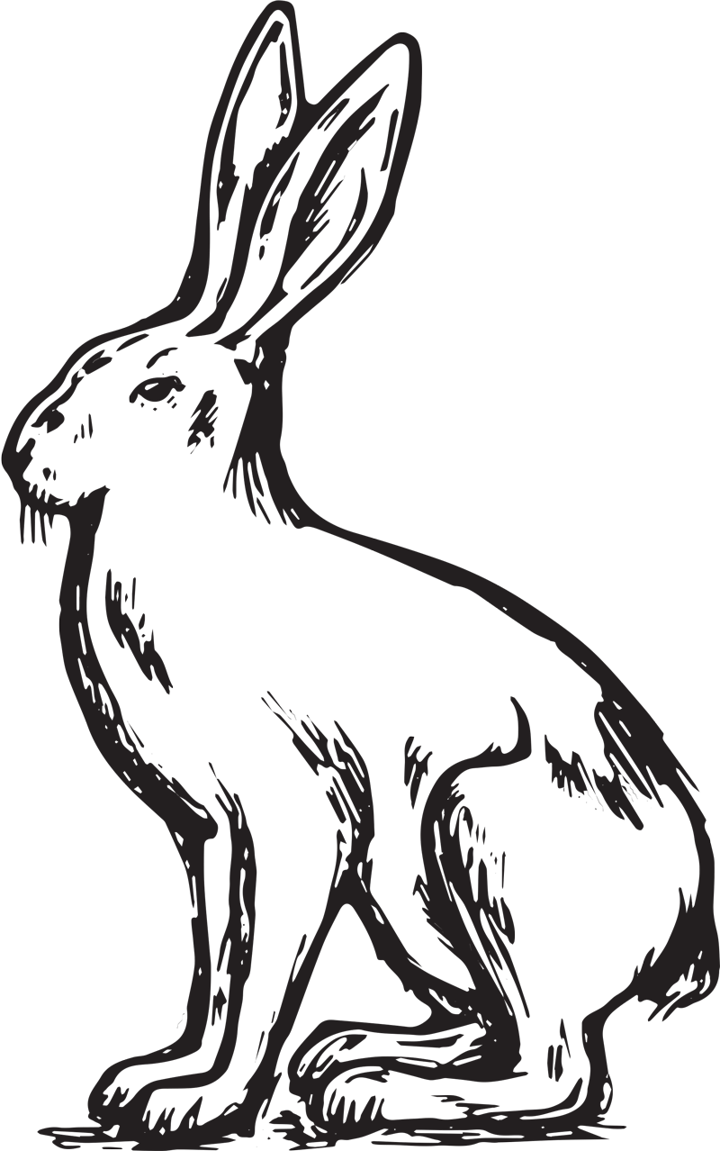 The Hare logo